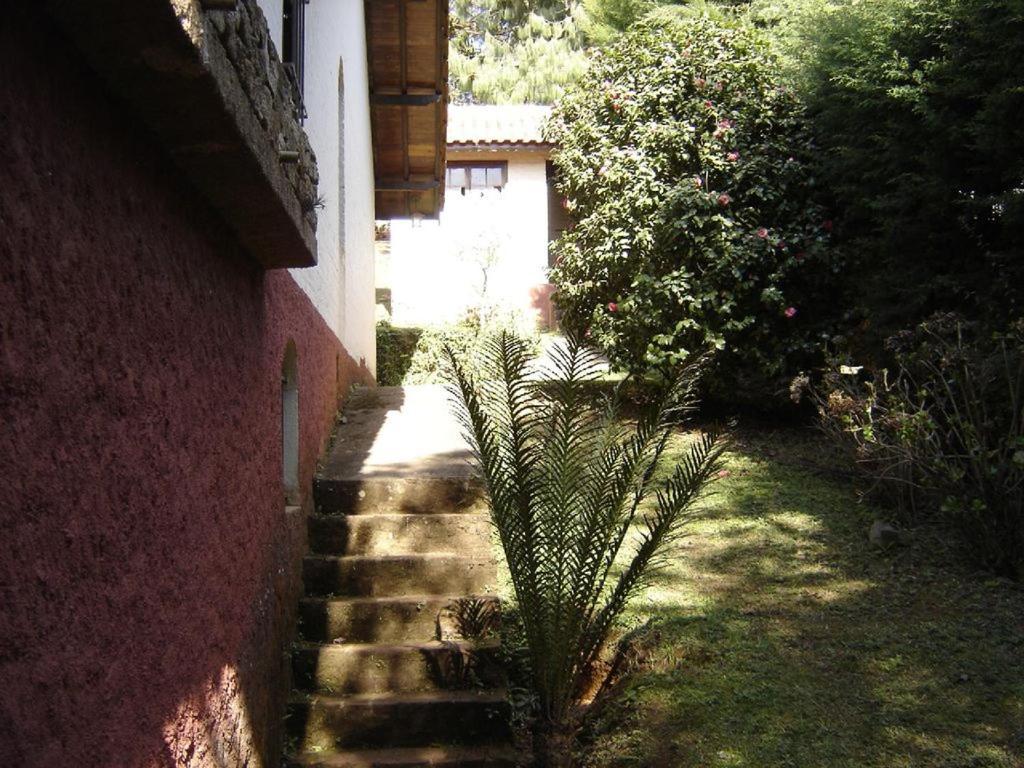 Casa das dálias Monte Verde  Esterno foto